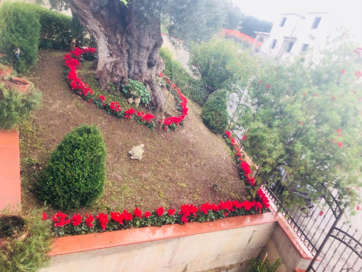 B&B Rosa Dei Venti Roseto Capo Spulico Buitenkant foto